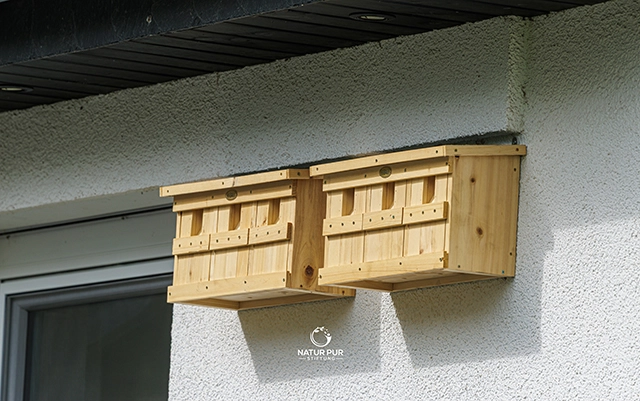 Nistkasten für Spatzen